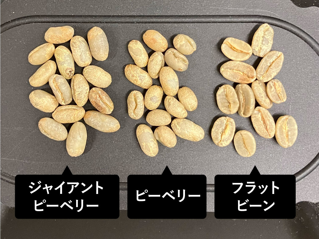 生豆 ケニア ピーベリー 約3. 5Kg 生豆 ケニア ピーベリー 約3. 5Kg